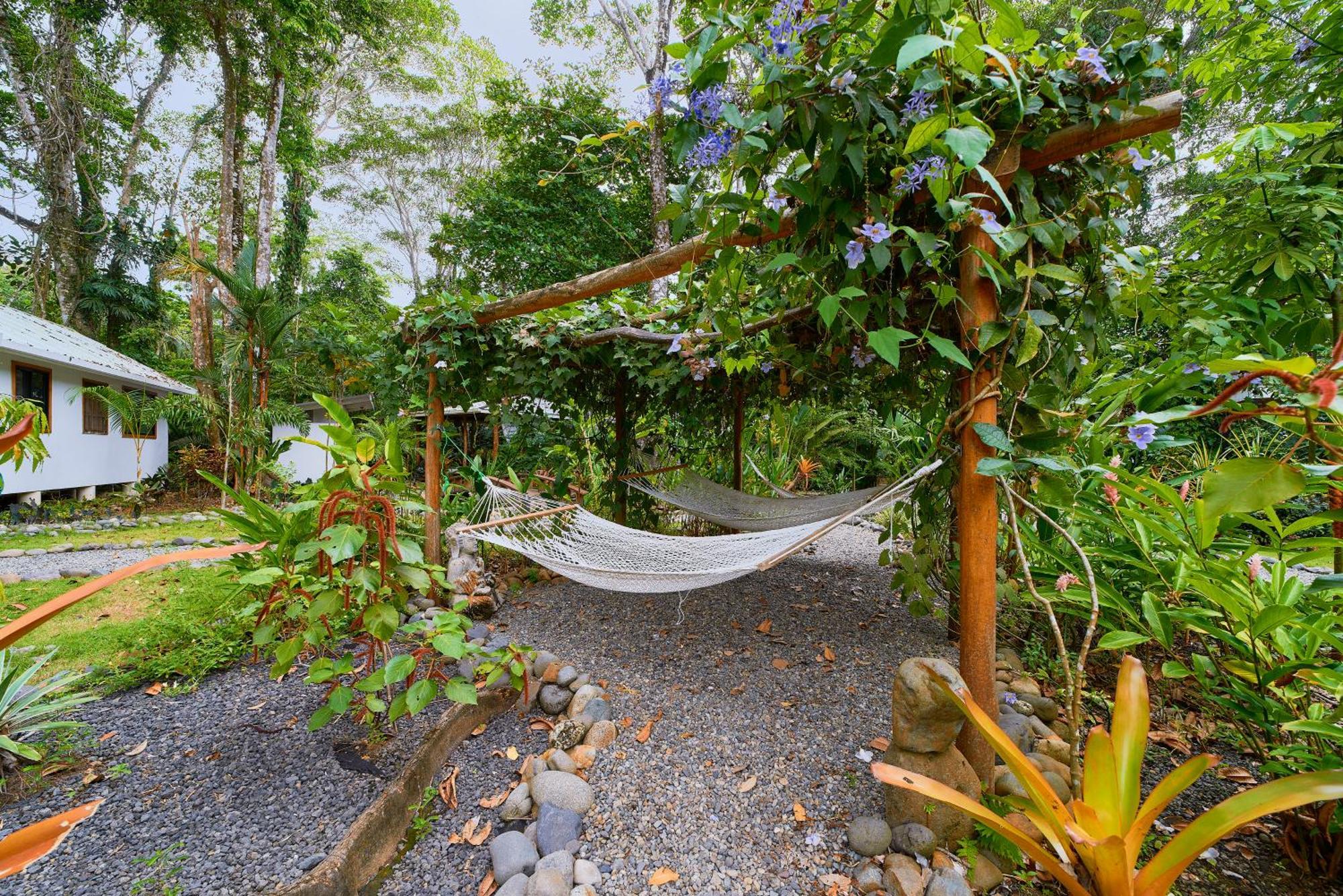 Dragonfly Beachfront Villas-Adult Only Пунта-Ува Экстерьер фото